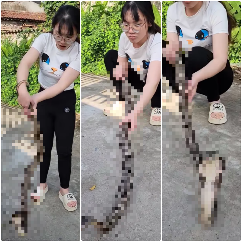 VIDE-O VK ông nào đây nghịch thế 😆