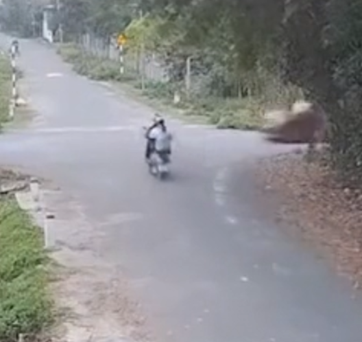 Vide0 – Thôi xong…tết nhất rồi mọi người đi cẩn thận nhé 🥶