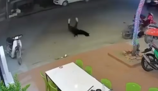 VIde-0 OTO rất quyết đoán,trường hợp này thì phải gì ạ …