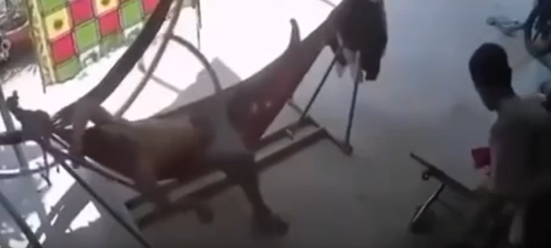 XÓT XA ❗️Bến Tre :người con bị t-âm thâ-n tiễn cha ruột bằng 1 nhát  trí mạng