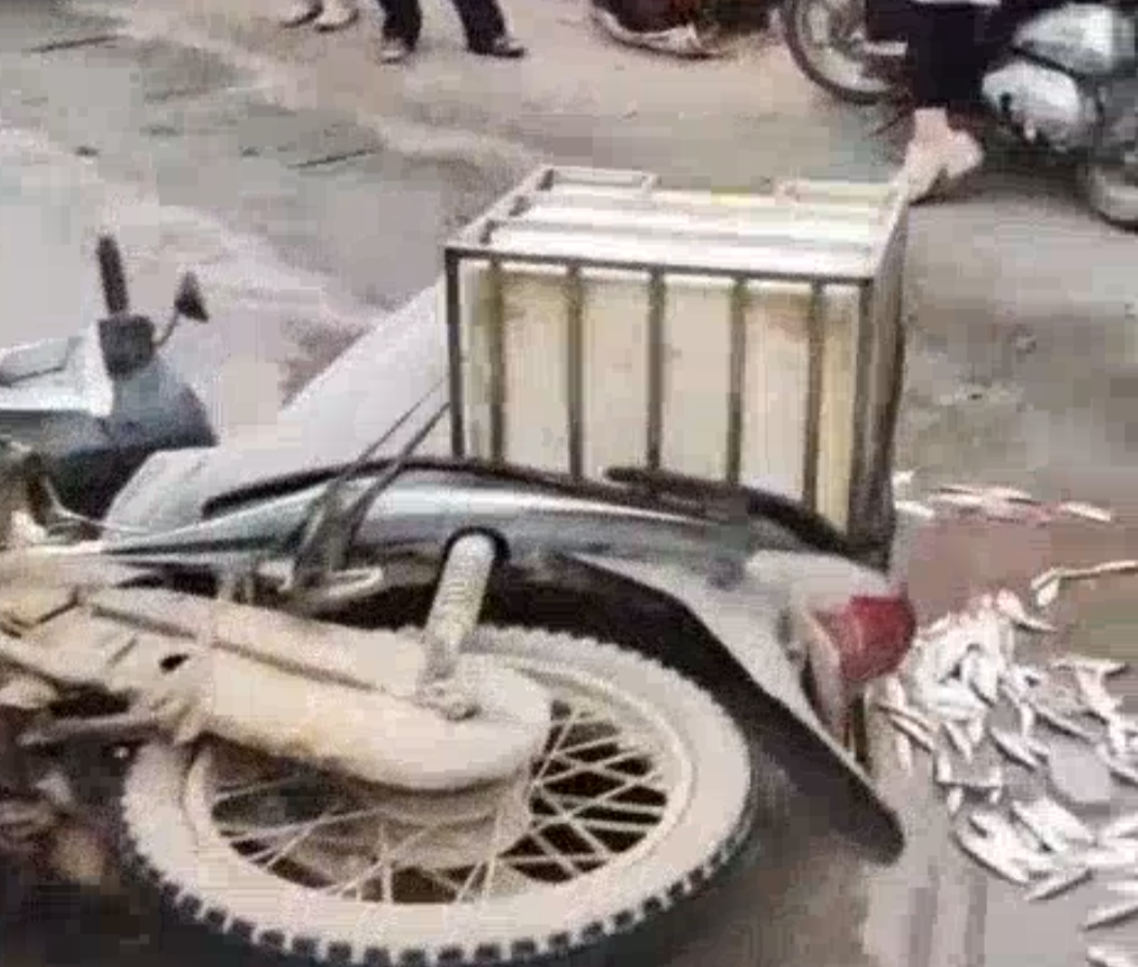 Thương tâm Chuyến xe chở cá như bao ngày nhưng có lẽ là lần cuối