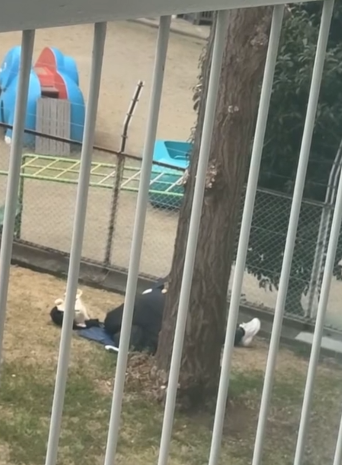 Cô gái trẻ tố . Người ta 12h trưa đi check-in điều hòa 16 độ, còn cặp đôi lại rủ ra giữa bãi đất trống sống kiểu hoang dã