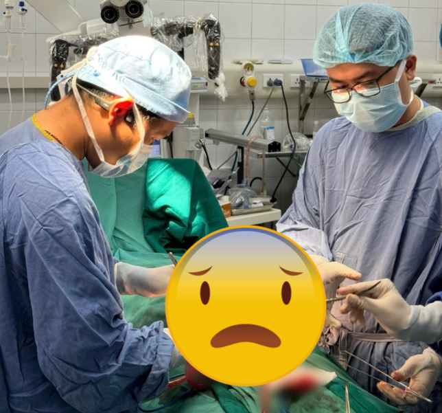 Lạng Sơn Họa mi ngừng hot vì nạp tý VITAMIN hung hăng