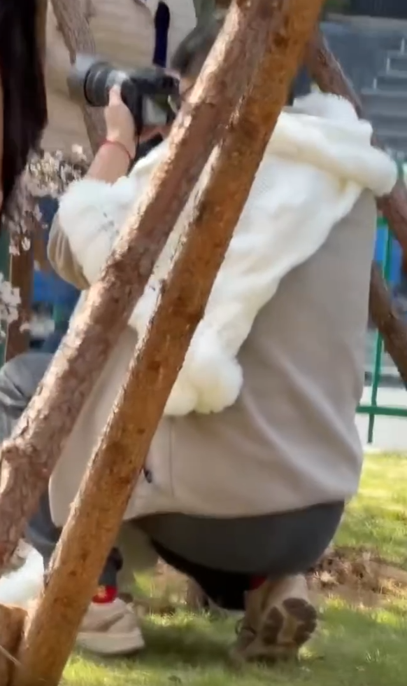 Chắc đổi nghề thôi…Ở đâu tuyển bảo ad với nhé cả nhà