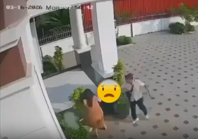 Hưng Yên gọi Cam nhấc máy Lại là câu chuyện bă’t gh3n