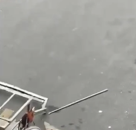 Sinh nghề ☠️ nghiệp