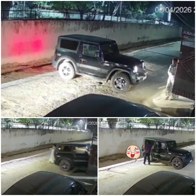 Tưởng bt mà hậu quả khôn lường…