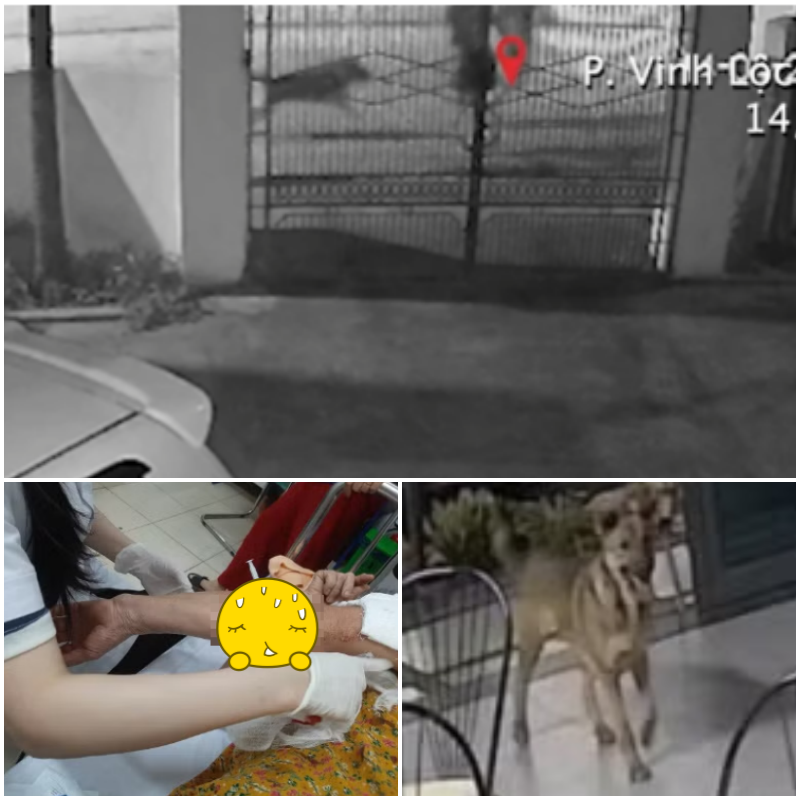 Tập thể dục buổi sáng bị cờ hó tancong