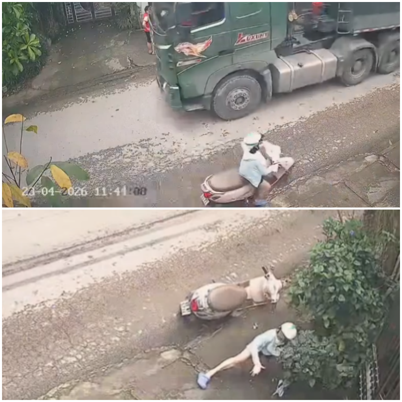 Tài xế xe ben kiểu…