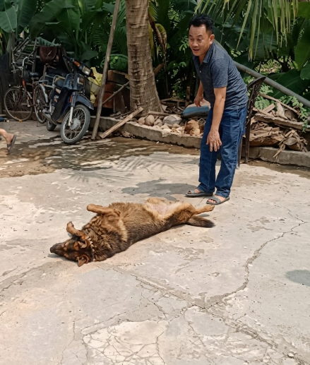 cờ hó c:ă’n cụ ông 83t TV ở Hà Tĩnh