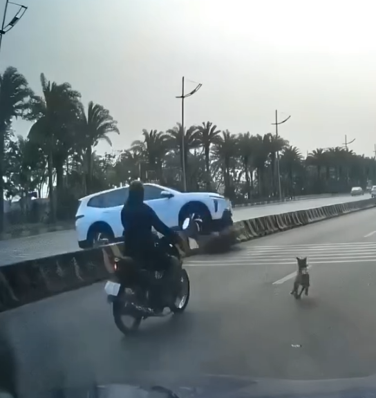 SAO MÀ ĐỠ ĐƯỢC