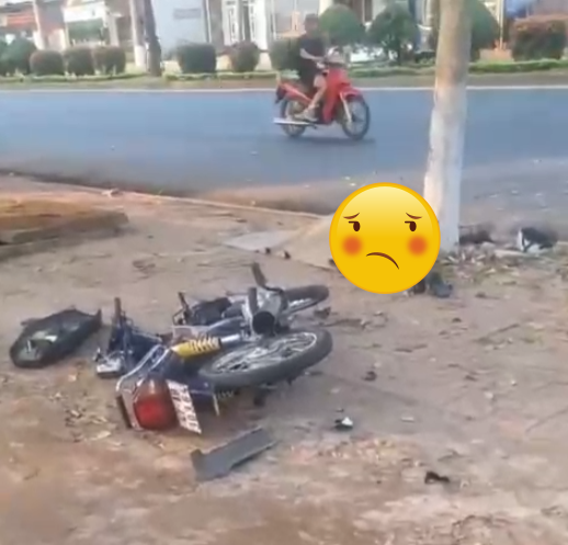 Đắk Lắk t0nq vào gốc cây