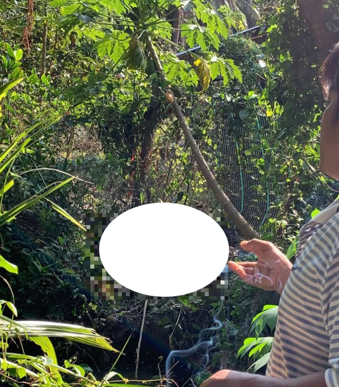 Trà Vinh (cũ): Thấy bảo háj 🥥