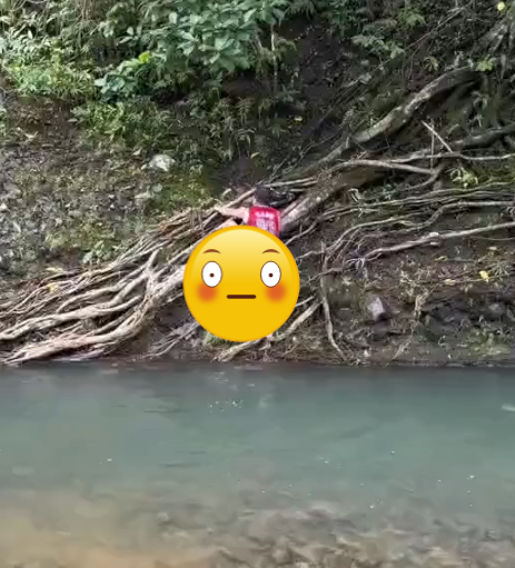 Từ đó họa mi ngừng hót