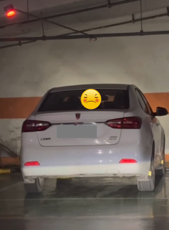 Cho Ny đi học lái xe và cái kết…