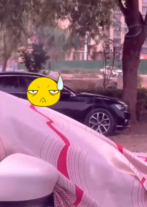 Bài học Lxe hôm nay là…